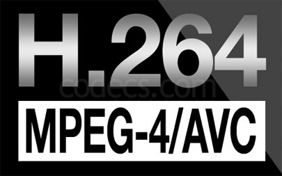 MPEG-4 AVC Encoders, Transcoders, Multiplexers & Audio and Video Streaming